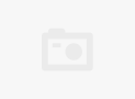 Standard Back Support เข็มขัดพยุงหลัง พยุงเอว Back Support Belt บล็อคหลัง ใส่ยกของได้...