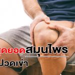 สมุนไพรแก้ปวดเข่า