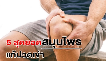 5 สุดยอดสมุนไพรแก้ปวดเข่า หาทานง่าย สรรพคุณเพียบ